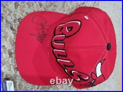 Chicago bulls the game luc longley signature hat