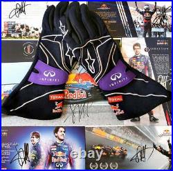 RedBull Racing Formula 1, F1 driver gloves ALPINESTARS TECH-ZX Vettel, Webber 2013