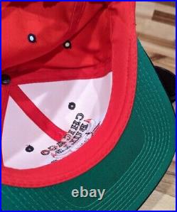 Vintage 90s The G Cap Chicago Bulls Embroidered Red Snapback NBA Hat Cap Jordan