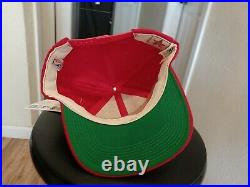 Vintage sports specialties wool snapback chicago bulls new with tags